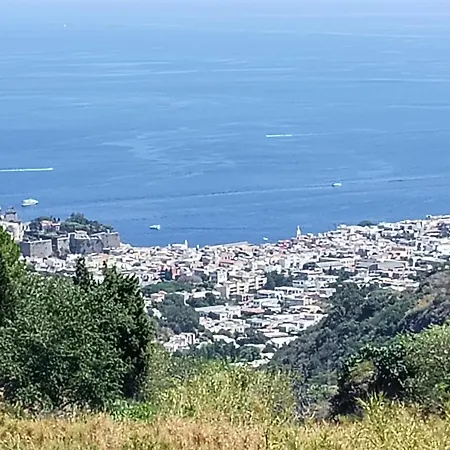 La Terrazza Sul Vulcano Lejlighed